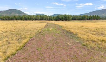 3 County Rd. N2157 Parcel 3, The Meadows Edge, Alpine, AZ 85920