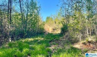 LANDFILL ROAD lot 1, Ashland, AL 36251