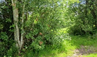 CAHILL DR, Angleton, TX 77515