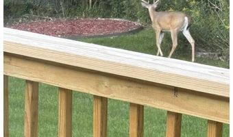 9774 68th Ave, Allendale, MI 49401