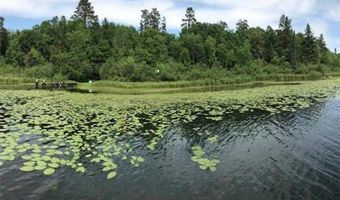 344 County 118 NW, Backus, MN 56435