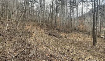 Martins Creek Road, Barnardsville, NC 28709