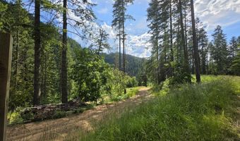 480 Dunn Peak Rd, Avery, ID 83802