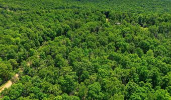 County Road 101, Alton, MO 65606