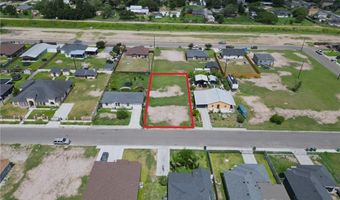 813 Pelican St, Alamo, TX 78516