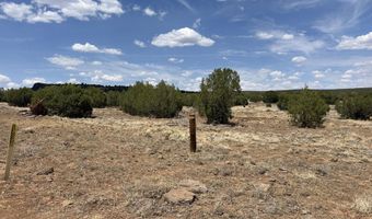 11 Cxx W Old Rte 66, Ash Fork, AZ 86320