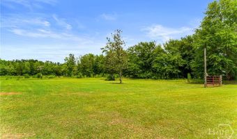 762 Old McLeod Bridge Rd, Adrian, GA 31002