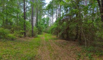 23826 Opine Rd, Andalusia, AL 36421