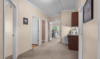 912 SW 22nd Ct, Bell, FL 32619