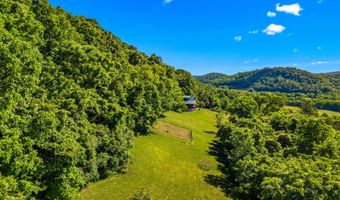 1820 Babbs Mill Rd, Afton, TN 37616