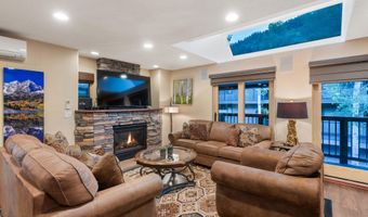650 S Monarch St 4, Aspen, CO 81611