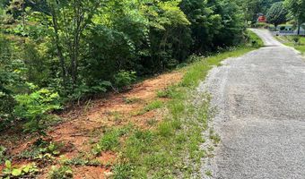 1 31 AC Wood River Ln, Allons, TN 38541