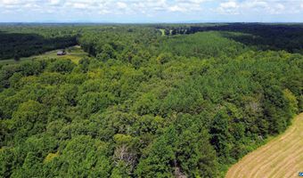 TBA BETTYS BRANCH RD X, Arvonia, VA 23004