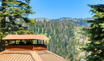 309 Snowshoe Rd, Bear Valley, CA 95223