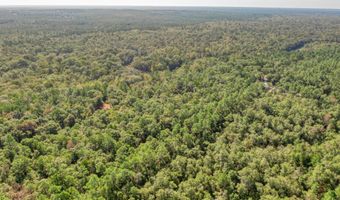 1 81 Ac Retreat Inlt, Baker, FL 32531