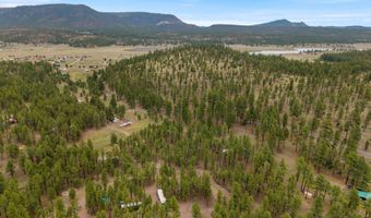 County Rd 2121, Alpine, AZ 85920