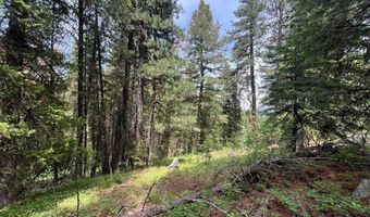 Tbd Hilltop Road 43 & 44, Cascade, ID 83611
