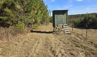 1228 River Rd, Ariton, AL 36311