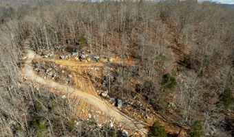700 Acres Puncheon Creek Ln, Allred, TN 38542