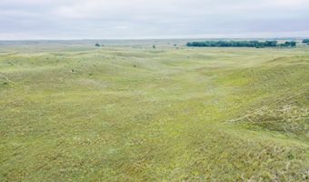 755 90 +/- Acres, Arnold, NE 69120