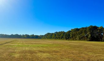 1168 Ti Adam Guidry Rd, Arnaudville, LA 70512