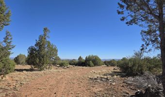 2 E Raney Rd, Ash Fork, AZ 86320