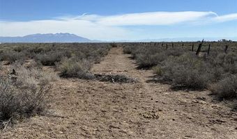 County Road 7 S, Alamosa, CO 81101