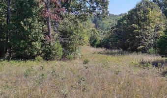3013-3015 Possum Trot Rd, Ash Flat, AR 72513