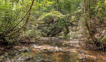 2 9 AC Chestnut Flats Rd, Andrews, NC 28901