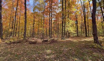 TBD Fishing Site # 2, Amasa, MI 49903