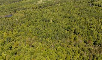 131 Gales Rd, Abbot, ME 04406