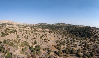 NHN Trails End Drive, Anaconda, MT 59711