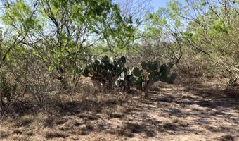 1701 CR 170, Alice, TX 78332