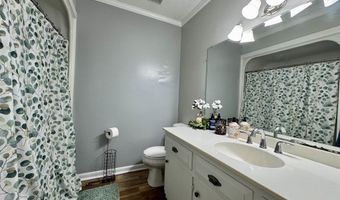 317 Wheeler Rd, Andrews, SC 29510