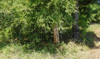 000 Stokes Rd, Bald Knob, AR 72010