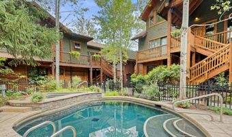 507 W Main St C101, Aspen, CO 81611