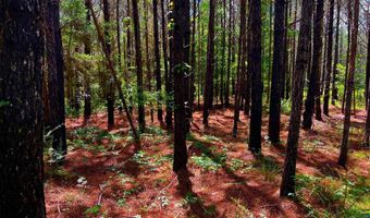 Arthur Drive, Brookhaven, MS 39601