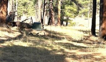 6 County Rd N2127, Alpine, AZ 85920