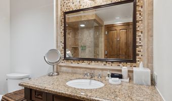 415 E Dean St. # 32 Wk 9, Aspen, CO 81611