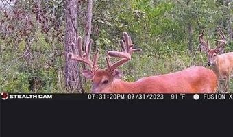 Off Hwy F, Annapolis, MO 63620