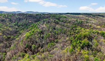 61 AC Hidden Cove Ln, Allons, TN 38541