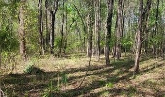 1642 R2 Kersey Valley Rd, Archdale, NC 27265