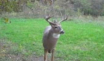 652 Nd St, Albia, IA 52531