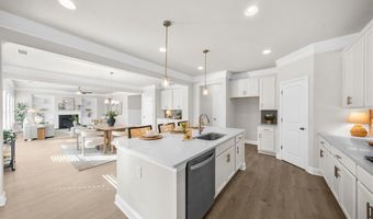 8620 Standing Stone, Ball Ground, GA 30107