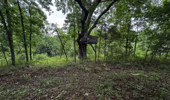 3702 Round House Rd, Aurora, MO 65605