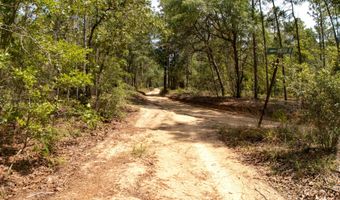 Homestead Road, Baker, FL 32531