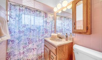 12236 S Hamlin Ave, Alsip, IL 60803