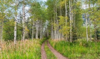 5387 Castle Creek Rd, Aspen, CO 81612