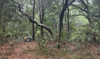 8 Leopard Frog Ct Lot 18, Bald Head Island, NC 28461