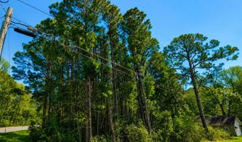 77 ACRE Leary N Rd, Ashburn, GA 31714